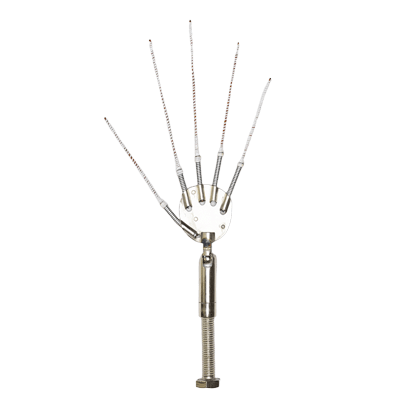 Wrist Joint & Hand Palm